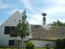 Burgenland Impressionen - Foto © Kave Atefie Storchennest in Purbach