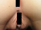 Fourchette Piercing © Kacenka26 GNU Free 1.2