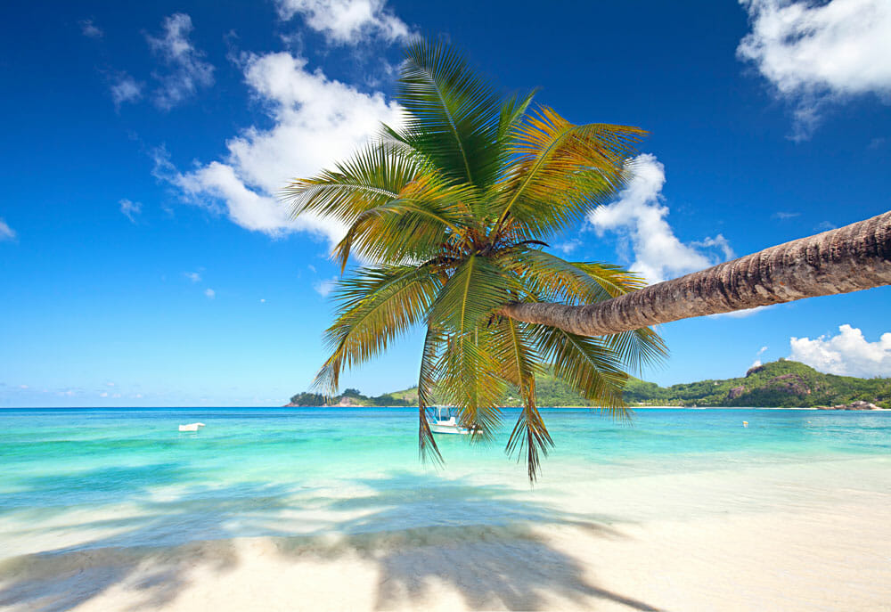 Seychellen - ein Stück vom Paradies